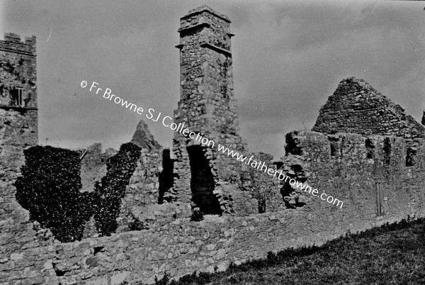 CLARE ABBEY   SOUTH WALL OF ENCLOSURE